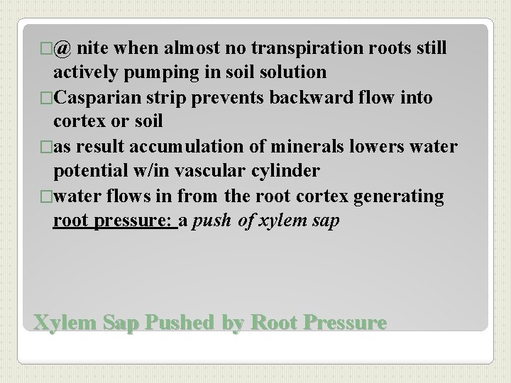 �@ nite when almost no transpiration roots still actively pumping in soil solution �Casparian