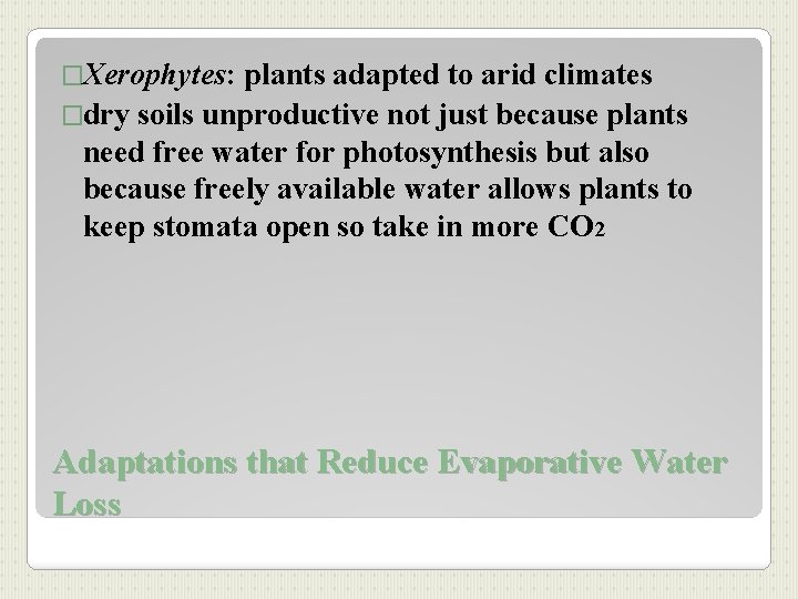 �Xerophytes: plants adapted to arid climates �dry soils unproductive not just because plants need