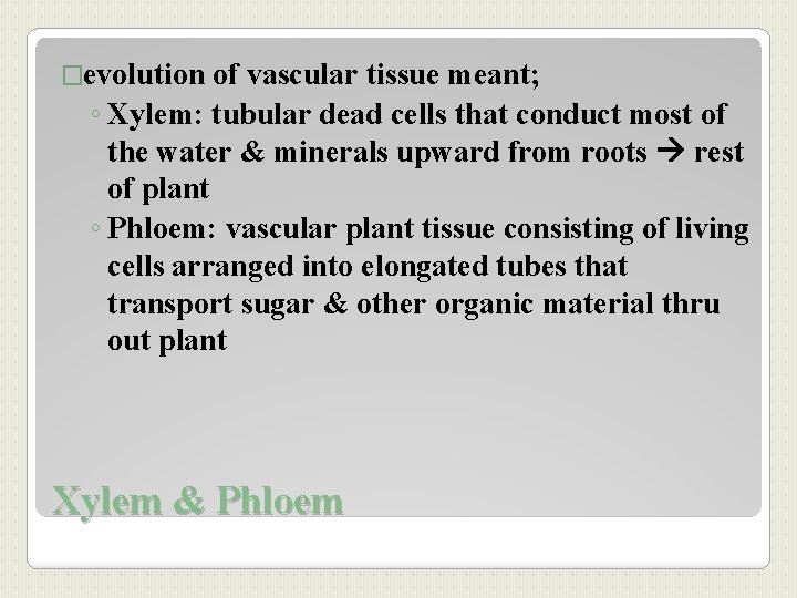 �evolution of vascular tissue meant; ◦ Xylem: tubular dead cells that conduct most of