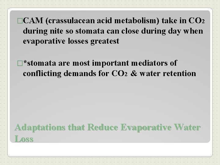 �CAM (crassulacean acid metabolism) take in CO 2 during nite so stomata can close