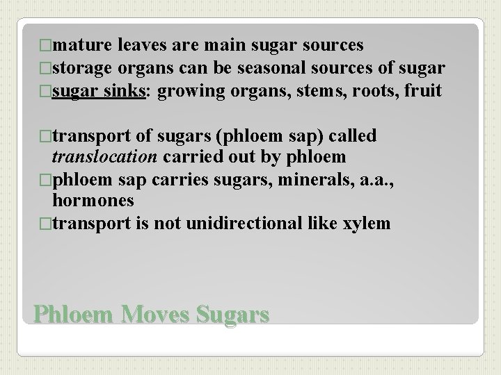 �mature leaves are main sugar sources �storage organs can be seasonal sources of sugar