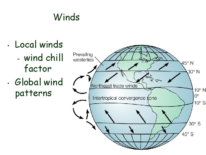 Winds • • Local winds – wind chill factor Global wind patterns 21 