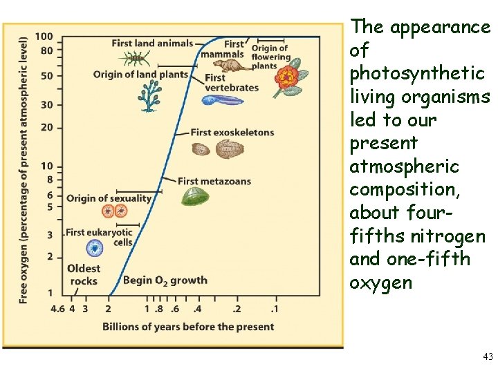 The appearance of photosynthetic living organisms led to our present atmospheric composition, about fourfifths