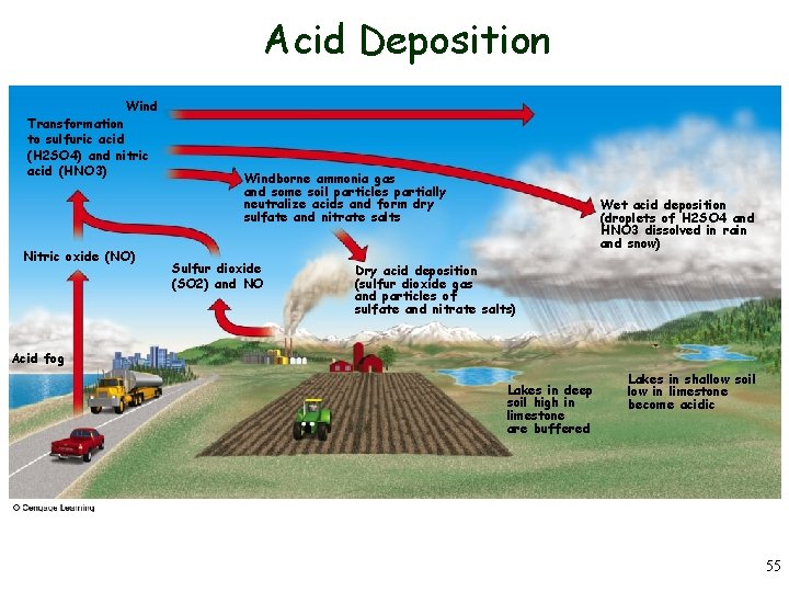 Acid Deposition Wind Transformation to sulfuric acid (H 2 SO 4) and nitric acid