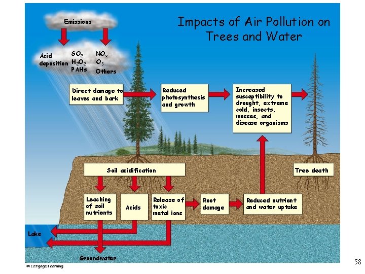 Impacts of Air Pollution on Trees and Water Emissions SO 2 Acid deposition H