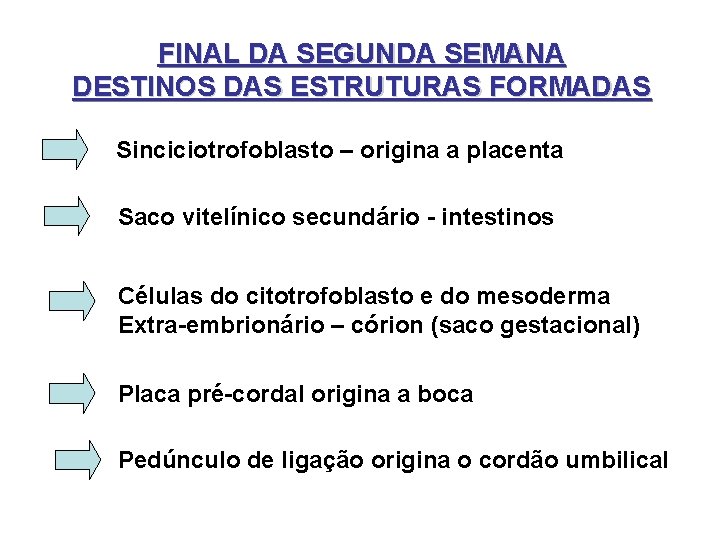 FINAL DA SEGUNDA SEMANA DESTINOS DAS ESTRUTURAS FORMADAS Sinciciotrofoblasto – origina a placenta Saco