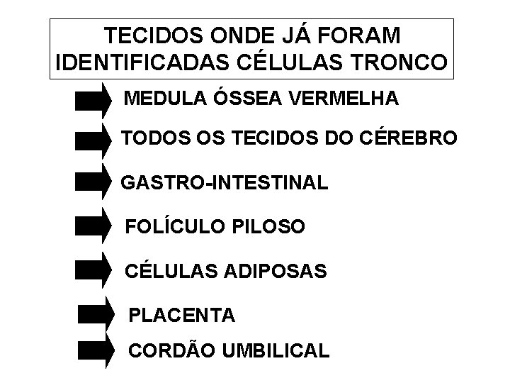 TECIDOS ONDE JÁ FORAM IDENTIFICADAS CÉLULAS TRONCO MEDULA ÓSSEA VERMELHA TODOS OS TECIDOS DO