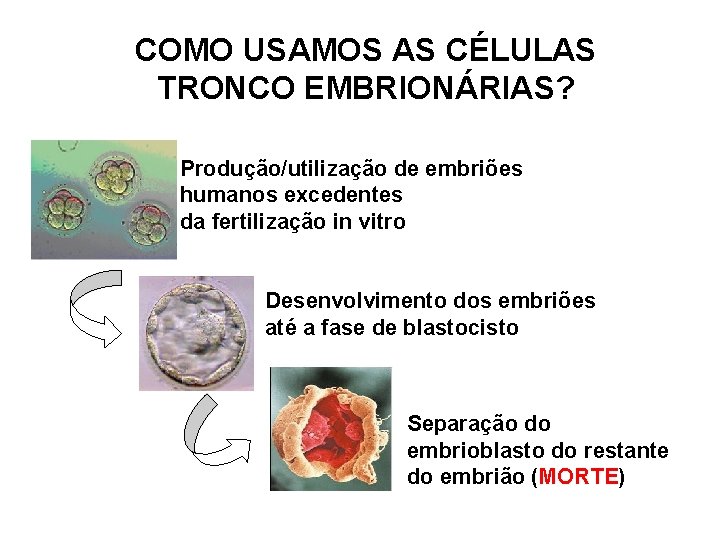 COMO USAMOS AS CÉLULAS TRONCO EMBRIONÁRIAS? Produção/utilização de embriões humanos excedentes da fertilização in