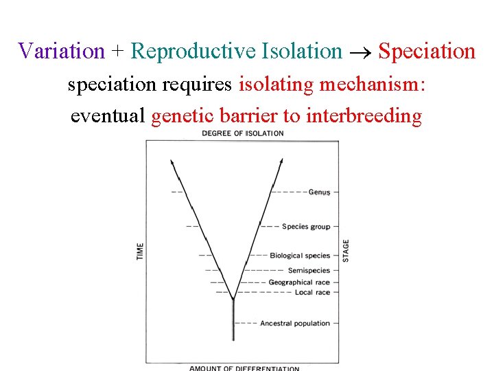 Variation + Reproductive Isolation Speciation speciation requires isolating mechanism: eventual genetic barrier to interbreeding