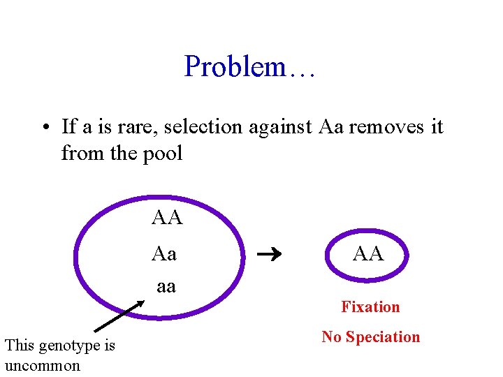 Problem… • If a is rare, selection against Aa removes it from the pool
