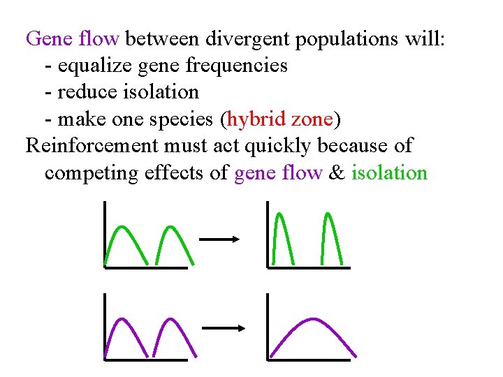 Gene flow between divergent populations will: - equalize gene frequencies - reduce isolation -