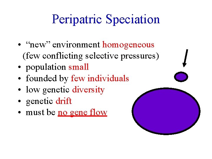 Peripatric Speciation • “new” environment homogeneous (few conflicting selective pressures) • population small •