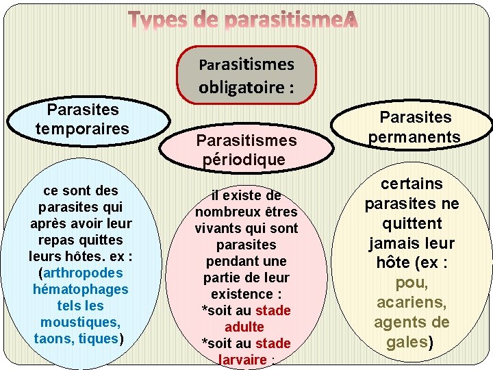 Parasitismes obligatoire : Parasites temporaires ce sont des parasites qui après avoir leur repas
