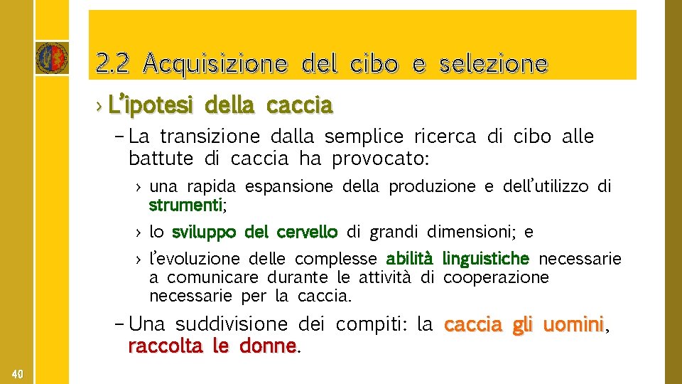 2. 2 Acquisizione del cibo e selezione › L’ipotesi della caccia – La transizione