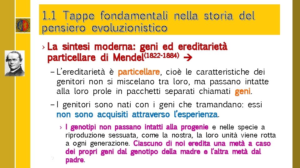 1. 1 Tappe fondamentali nella storia del pensiero evoluzionistico › La sintesi moderna: geni