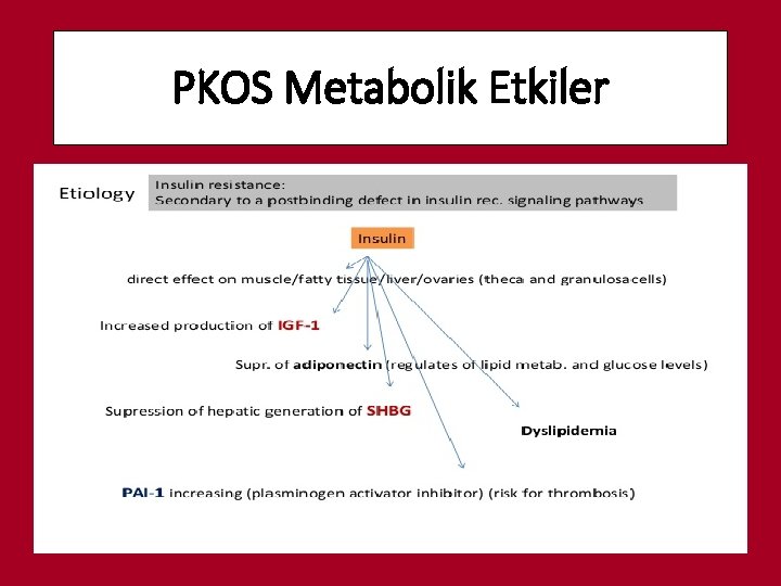 PKOS Metabolik Etkiler 