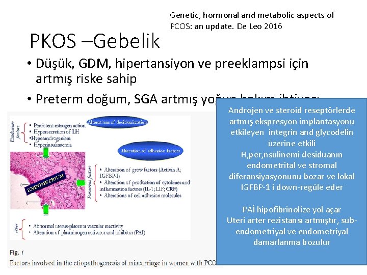 PKOS –Gebelik Genetic, hormonal and metabolic aspects of PCOS: an update. De Leo 2016