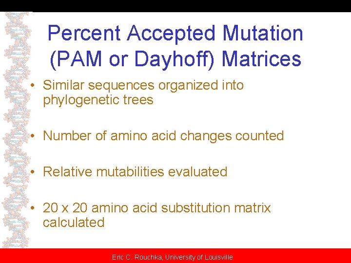 Percent Accepted Mutation (PAM or Dayhoff) Matrices • Similar sequences organized into phylogenetic trees