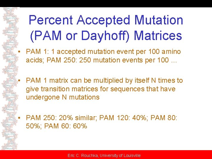 Percent Accepted Mutation (PAM or Dayhoff) Matrices • PAM 1: 1 accepted mutation event