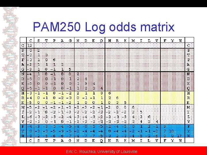 PAM 250 Log odds matrix Eric C. Rouchka, University of Louisville 