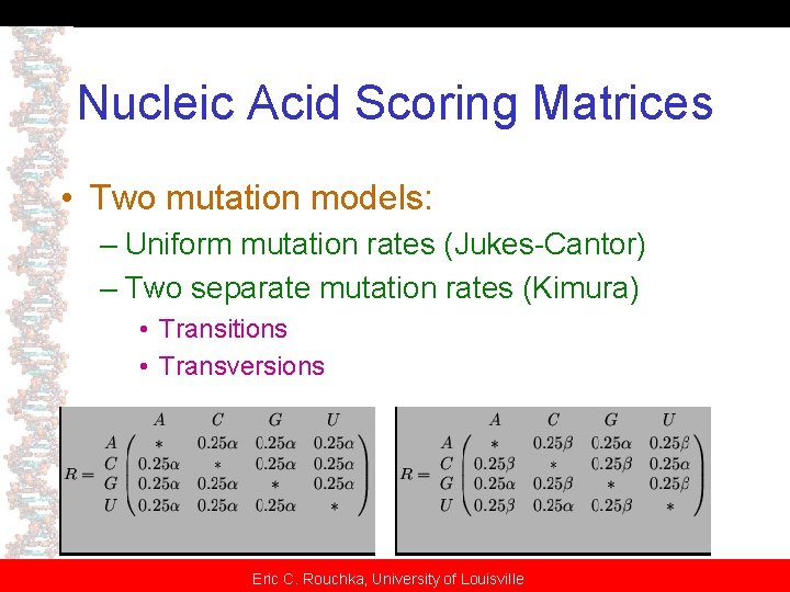 Nucleic Acid Scoring Matrices • Two mutation models: – Uniform mutation rates (Jukes-Cantor) –