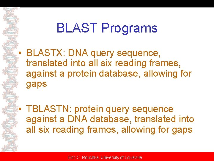 BLAST Programs • BLASTX: DNA query sequence, translated into all six reading frames, against