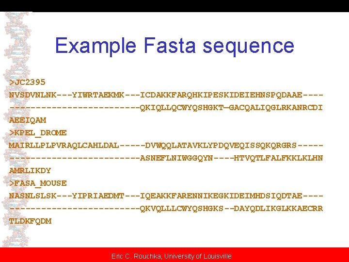 Example Fasta sequence >JC 2395 NVSDVNLNK---YIWRTAEKMK---ICDAKKFARQHKIPESKIDEIEHNSPQDAAE--------------QKIQLLQCWYQSHGKT—GACQALIQGLRKANRCDI AEEIQAM >KPEL_DROME MAIRLLPLPVRAQLCAHLDAL-----DVWQQLATAVKLYPDQVEQISSQKQRGRS---------------ASNEFLNIWGGQYN----HTVQTLFALFKKLKLHN AMRLIKDY >FASA_MOUSE NASNLSLSK---YIPRIAEDMT---IQEAKKFARENNIKEGKIDEIMHDSIQDTAE--------------QKVQLLLCWYQSHGKS--DAYQDLIKGLKKAECRR TLDKFQDM Eric