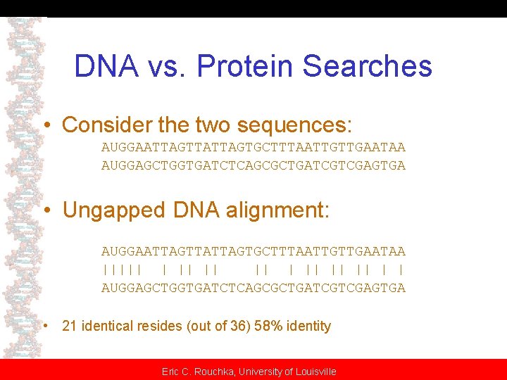 DNA vs. Protein Searches • Consider the two sequences: AUGGAATTAGTTATTAGTGCTTTAATTGTTGAATAA AUGGAGCTGGTGATCTCAGCGCTGATCGTCGAGTGA • Ungapped DNA