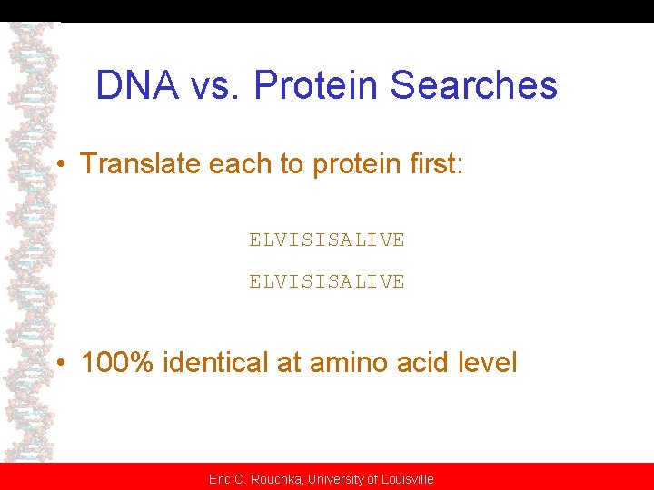 DNA vs. Protein Searches • Translate each to protein first: ELVISISALIVE • 100% identical