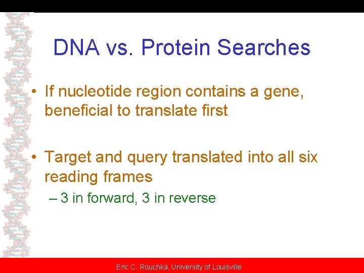 DNA vs. Protein Searches • If nucleotide region contains a gene, beneficial to translate