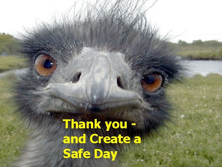 Thank you and Create a Safe Day 