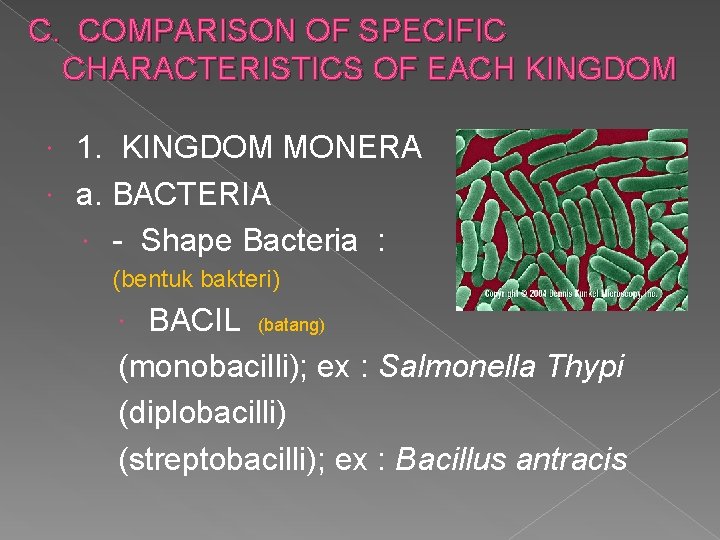 C. COMPARISON OF SPECIFIC CHARACTERISTICS OF EACH KINGDOM 1. KINGDOM MONERA a. BACTERIA -