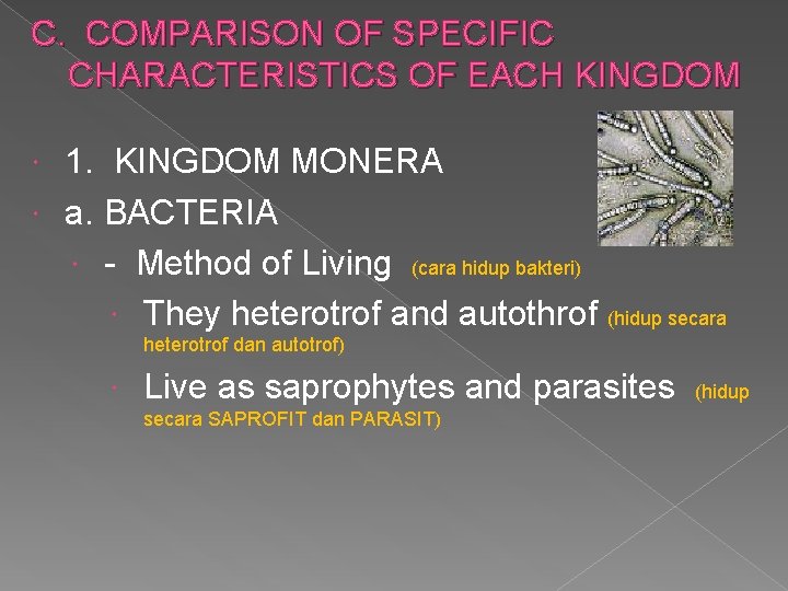 C. COMPARISON OF SPECIFIC CHARACTERISTICS OF EACH KINGDOM 1. KINGDOM MONERA a. BACTERIA -