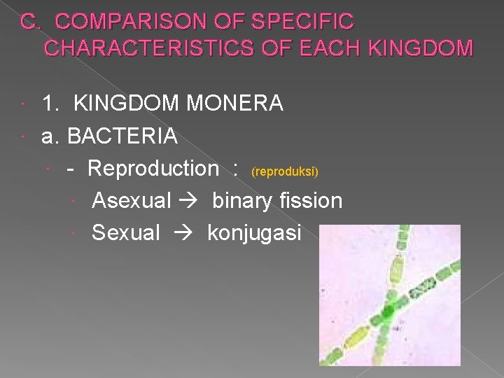 C. COMPARISON OF SPECIFIC CHARACTERISTICS OF EACH KINGDOM 1. KINGDOM MONERA a. BACTERIA -