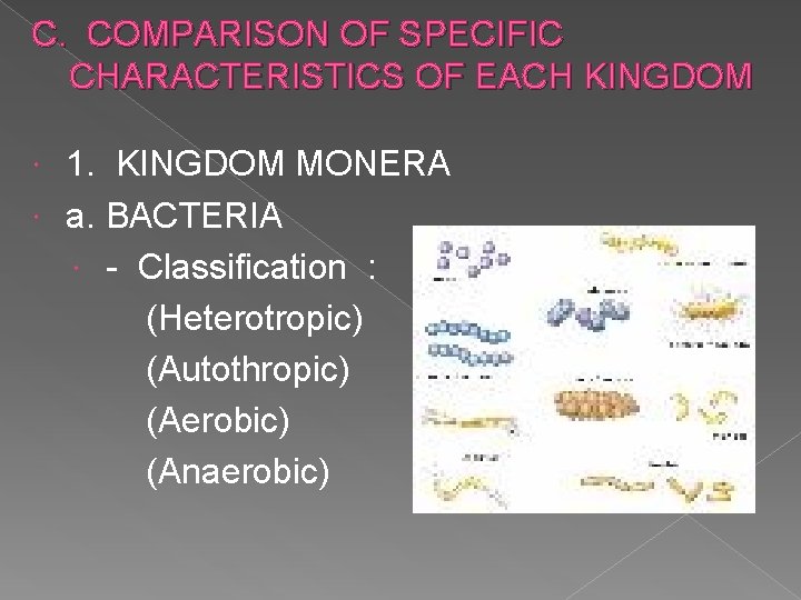C. COMPARISON OF SPECIFIC CHARACTERISTICS OF EACH KINGDOM 1. KINGDOM MONERA a. BACTERIA -