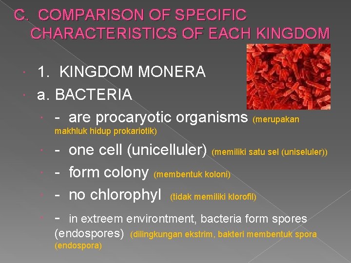 C. COMPARISON OF SPECIFIC CHARACTERISTICS OF EACH KINGDOM 1. KINGDOM MONERA a. BACTERIA -
