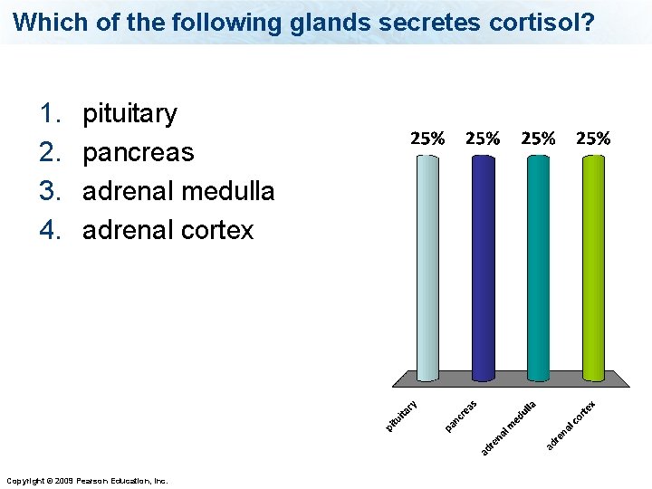 Which of the following glands secretes cortisol? 1. 2. 3. 4. pituitary pancreas adrenal