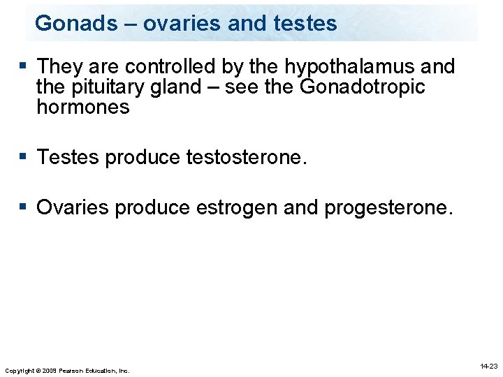 Gonads – ovaries and testes § They are controlled by the hypothalamus and the