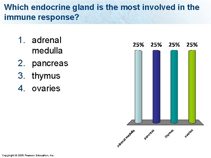 Which endocrine gland is the most involved in the immune response? 1. adrenal medulla