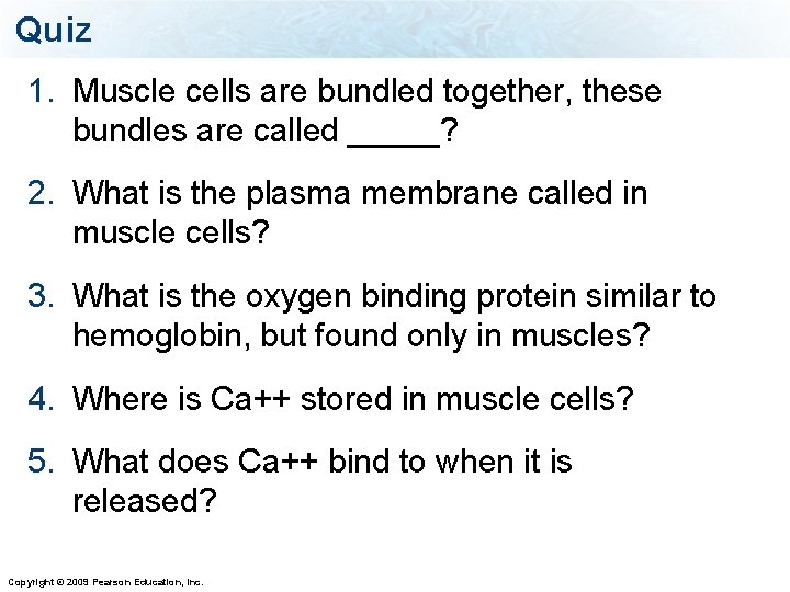 Quiz 1. Muscle cells are bundled together, these bundles are called _____? 2. What