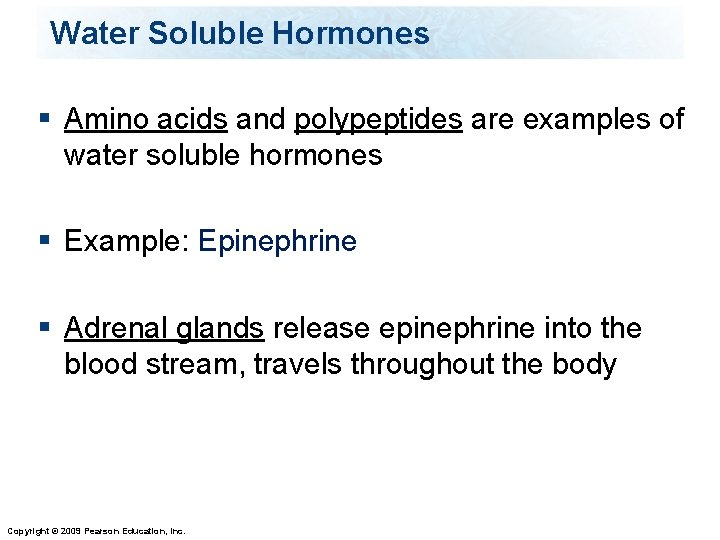 Water Soluble Hormones § Amino acids and polypeptides are examples of water soluble hormones