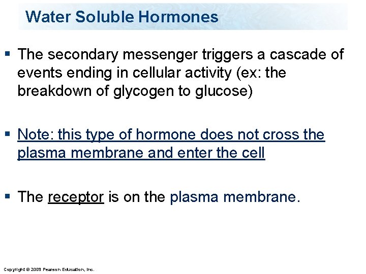 Water Soluble Hormones § The secondary messenger triggers a cascade of events ending in