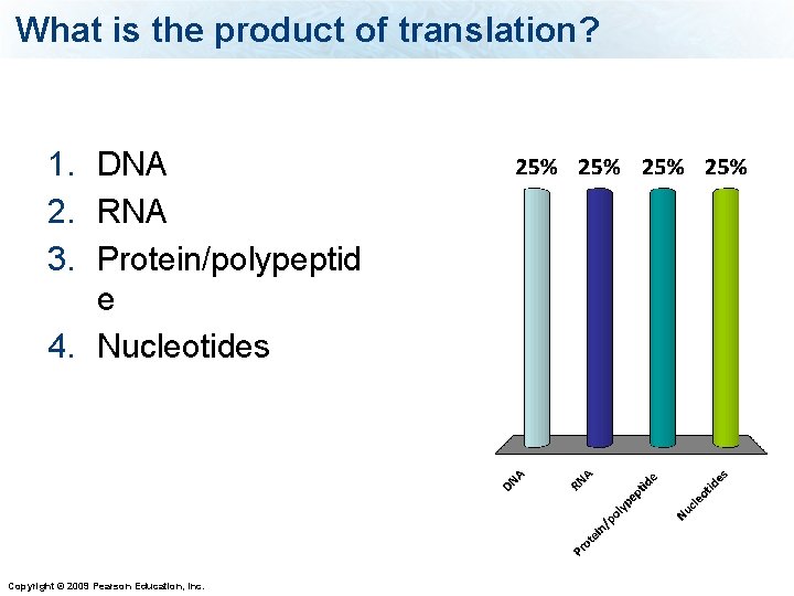 What is the product of translation? 1. DNA 2. RNA 3. Protein/polypeptid e 4.