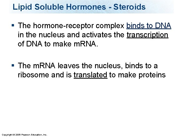 Lipid Soluble Hormones - Steroids § The hormone-receptor complex binds to DNA in the