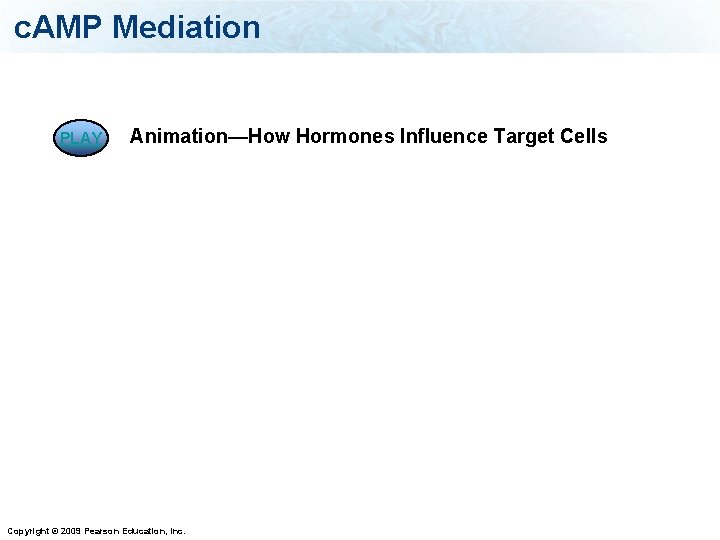 c. AMP Mediation PLAY Animation—How Hormones Influence Target Cells Copyright © 2009 Pearson Education,