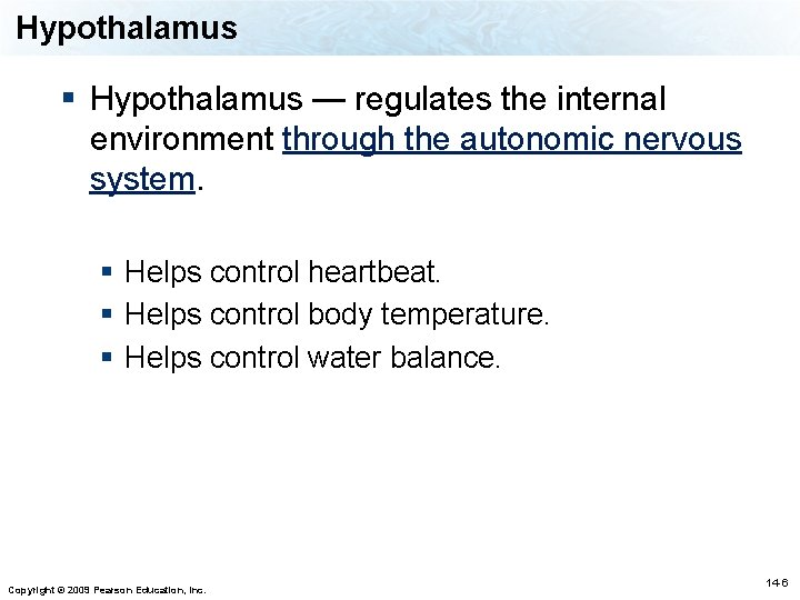 Hypothalamus § Hypothalamus — regulates the internal environment through the autonomic nervous system. §