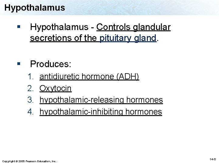 Hypothalamus § Hypothalamus - Controls glandular secretions of the pituitary gland. § Produces: 1.