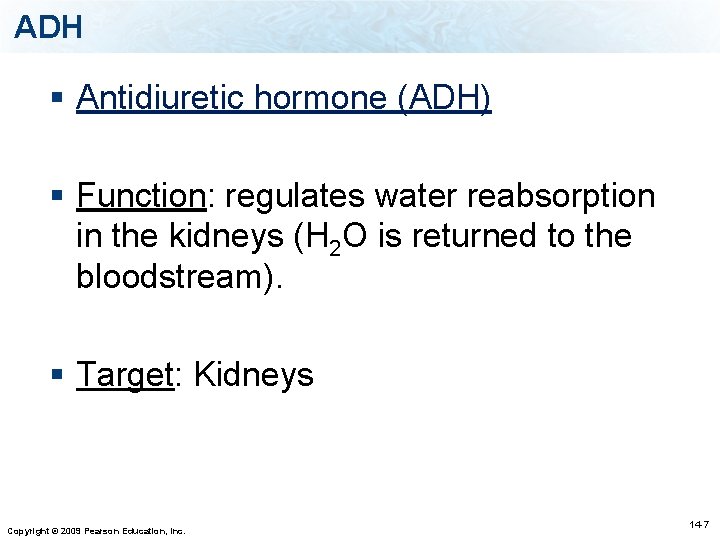 ADH § Antidiuretic hormone (ADH) § Function: regulates water reabsorption in the kidneys (H