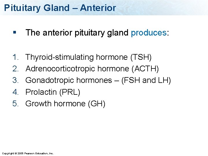 Pituitary Gland – Anterior § The anterior pituitary gland produces: 1. 2. 3. 4.