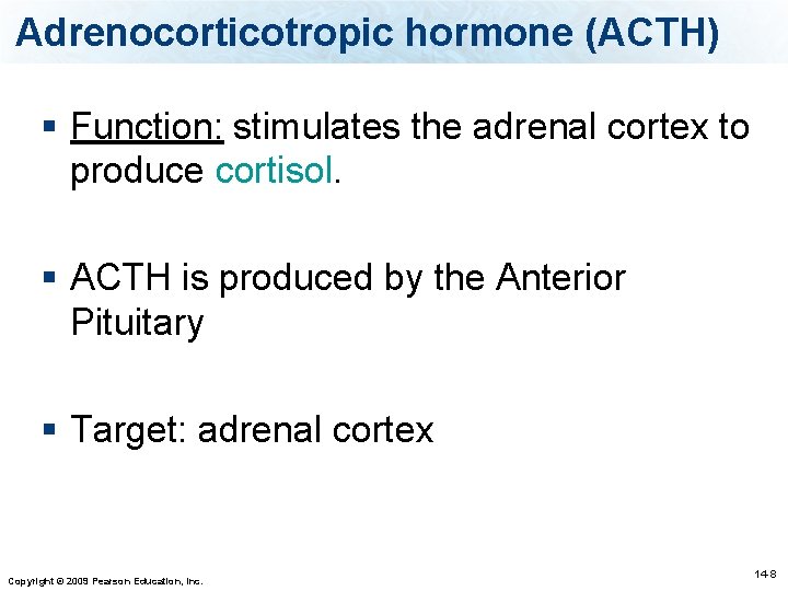 Adrenocorticotropic hormone (ACTH) § Function: stimulates the adrenal cortex to produce cortisol. § ACTH